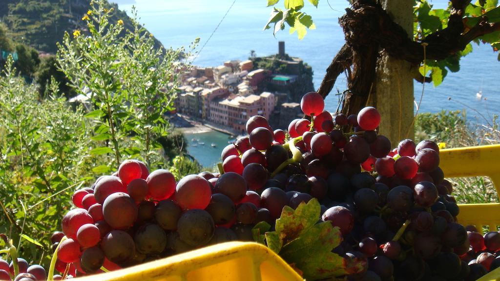 Casa Vacanze Zia Maria Apartman Vernazza Szoba fotó